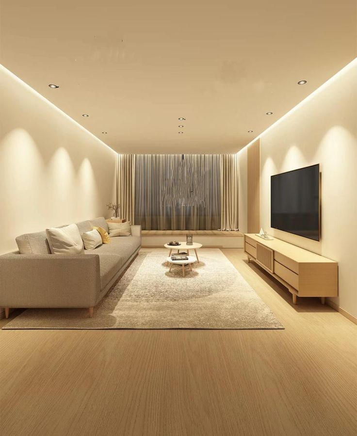 Philips Professional